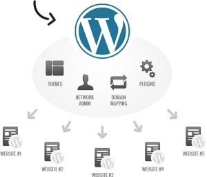 Wordpress Multisite