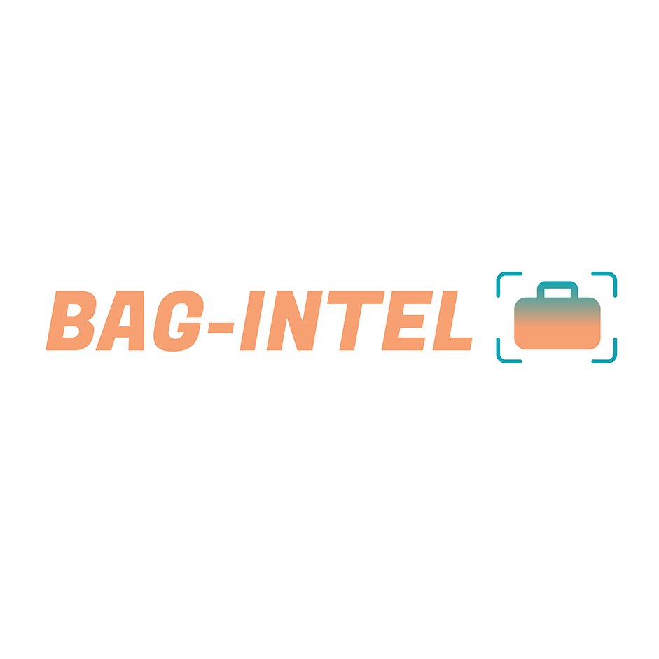 BAG-INTEL logo